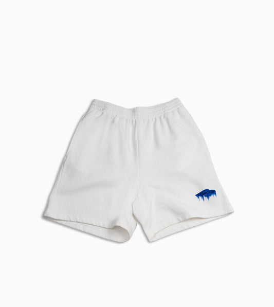 BALENCIAGA Shorts 3D Molleton